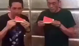 搞笑吃瓜爆料视频大全集,带你领略欢乐瞬间